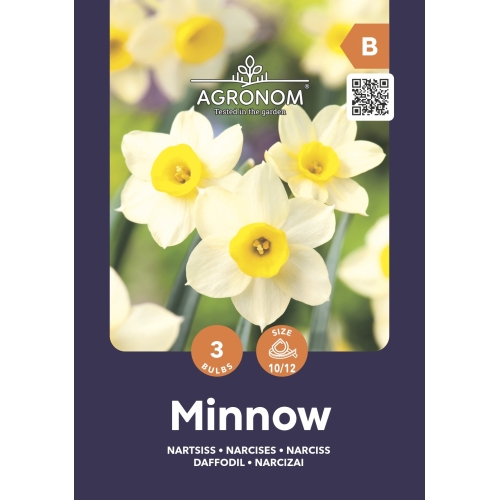 Narsisser MINNOW