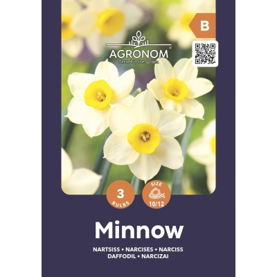 Narsisser MINNOW
