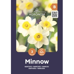 Narsisser MINNOW