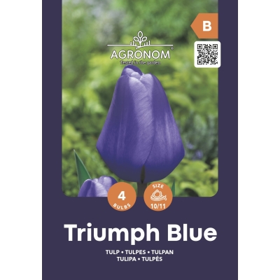 Tulipaner TRIUMPH BLUE