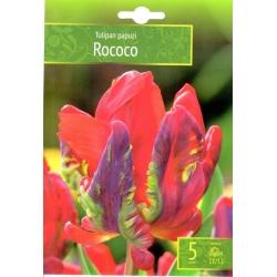 Tulipaner ROCOCO