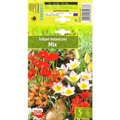Tulipaner TULIPANER MIX