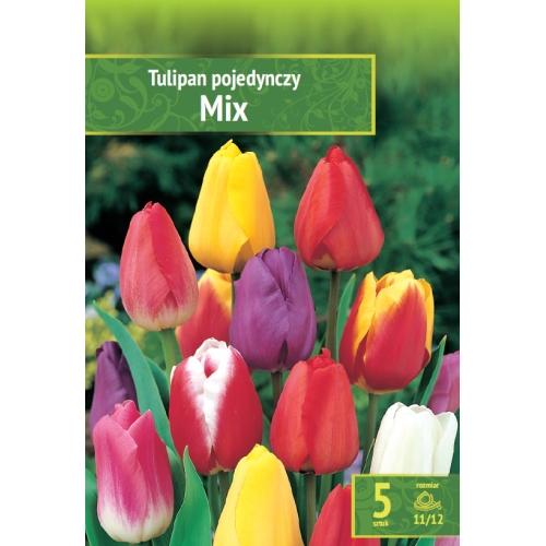 Tulipaner MIX