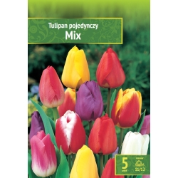 Tulipaner MIX