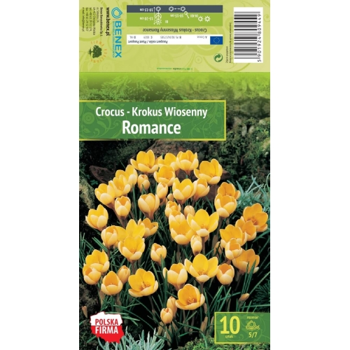 Krokus ROMANCE