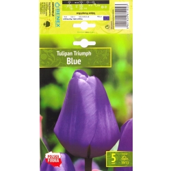 Tulipaner MIX BLUE Blomsterløk