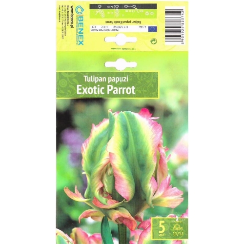 Tulipaner Blomsterløk EXOTIC PARROT