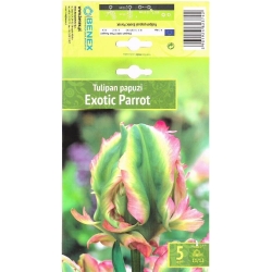 Tulipaner Blomsterløk EXOTIC PARROT