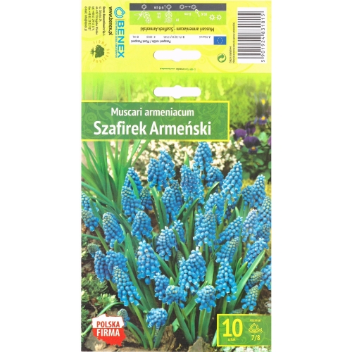 Armensk perlebloms ARMENIACUM