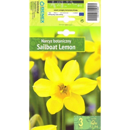 Påskeliljer SAILBOAT LEMON