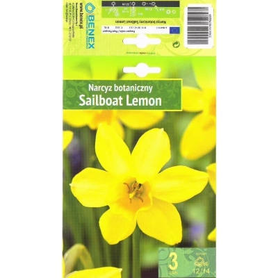 Påskeliljer SAILBOAT LEMON