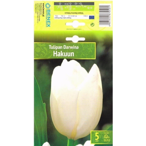 Tulipaner HAKUUN Blomsterløk