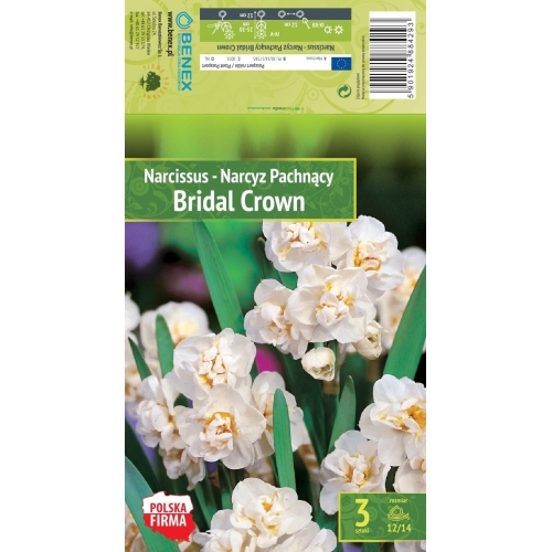 Påskeliljer BRIDAL CROWN