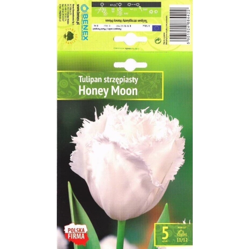 Tulipaner HONEY MOON Blomsterløk