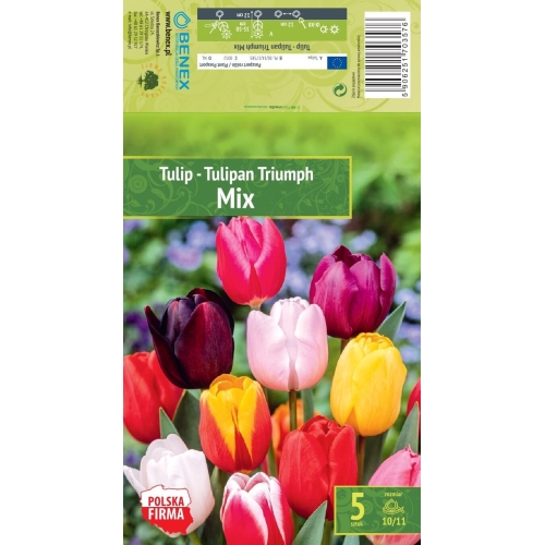 Tulipaner TRIUMPH MIX Blomsterløk