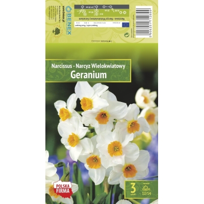 Påskeliljer GERANIUM