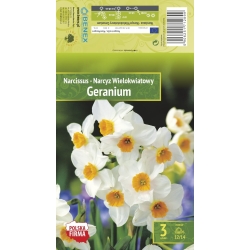 Påskeliljer GERANIUM