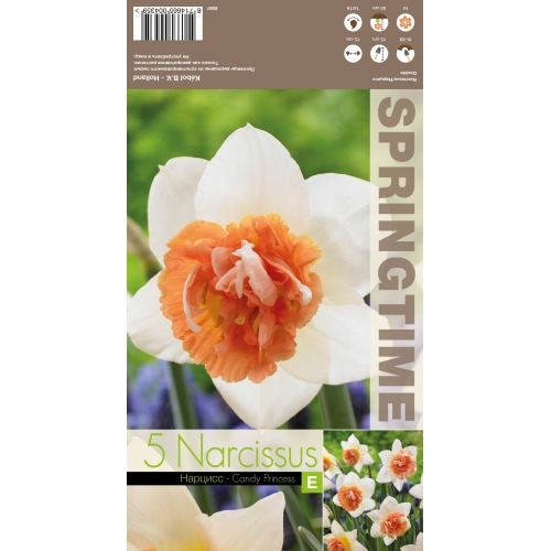 Påskeliljer CANDY PRINCESS