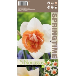 Påskeliljer CANDY PRINCESS