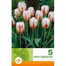 Tulipaner HAPPY GENERATION