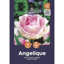 Tulipaner Blomsterløk ANGELIQUE
