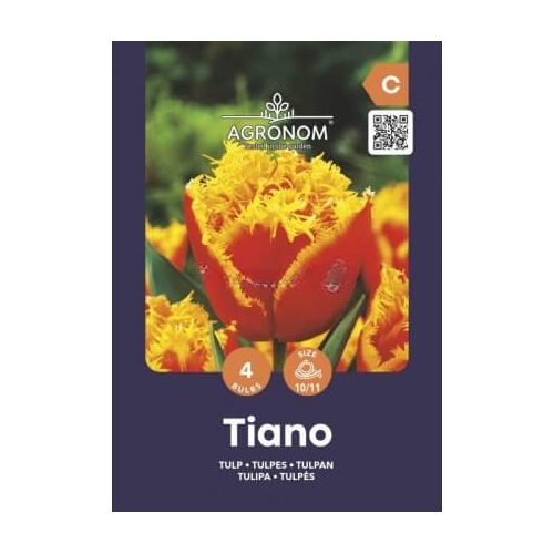 Tulipaner TIANO Blomsterløk