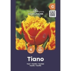 Tulipaner TIANO Blomsterløk