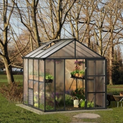 Drivhus Palram / Canopia GLORY 245x245cm