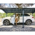 Carport Palram / Canopia ARCADIA 359x649cm