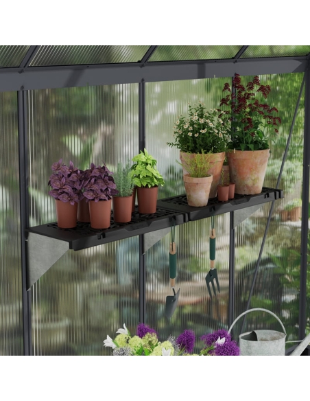 Hyller til drivhus CANOPIA by PALRAM 10stk