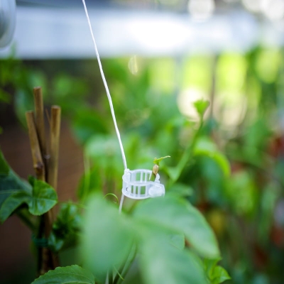Planteopphengsystem til drivhus CANOPIA by PALRAM