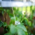 Planteopphengsystem til drivhus CANOPIA by PALRAM
