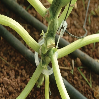 Planteopphengsystem til drivhus CANOPIA by PALRAM