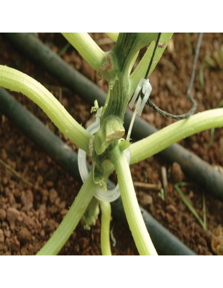 Planteopphengsystem til drivhus CANOPIA by PALRAM
