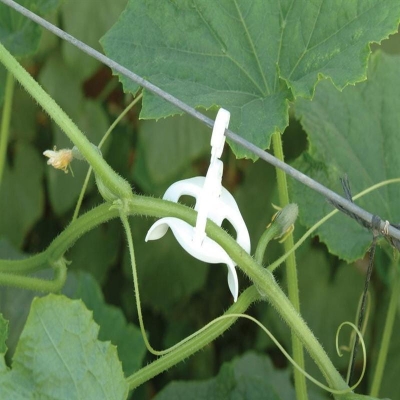 Planteopphengsystem til drivhus CANOPIA by PALRAM