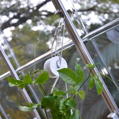Planteopphengsystem til drivhus CANOPIA by PALRAM