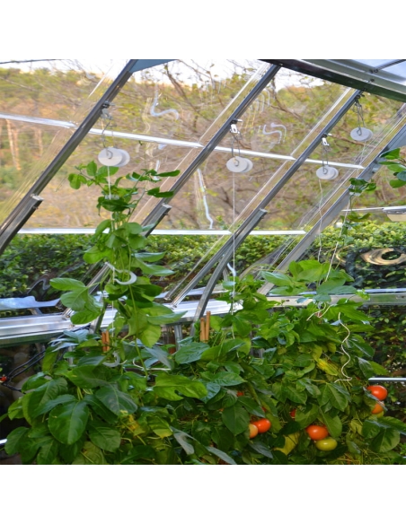 Planteopphengsystem til drivhus CANOPIA by PALRAM
