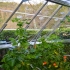 Planteopphengsystem til drivhus CANOPIA by PALRAM