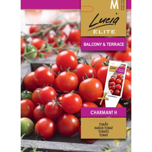 Tomatfrø Charmant H
