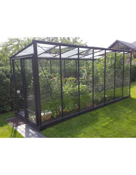 Veggdrivhus "Forta Vegg Pluss" (Bredde 1.59m)
