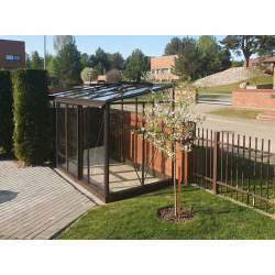 Veggdrivhus "Forta Vegg Pluss" (Bredde 3.07m)