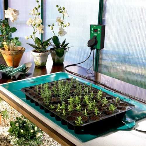 Varmematte For Planter "Biogreen WP"