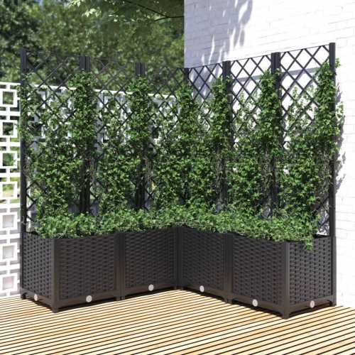 Plantekasse med espalier svart 120x120x136cm