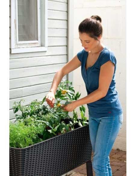 Blomsterkasse (EASY GROW) Antrasittgrå