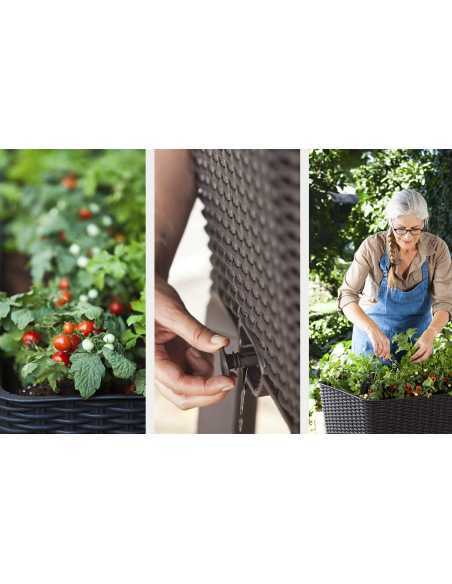 Blomsterkasse (EASY GROW) Antrasittgrå
