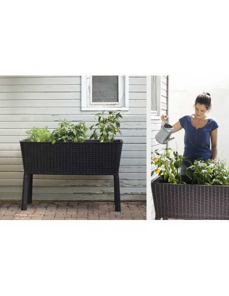 Blomsterkasse (EASY GROW) Antrasittgrå