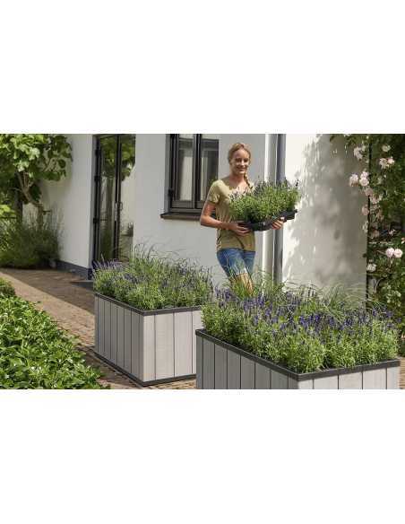 Blomsterkasse (Sequoia)