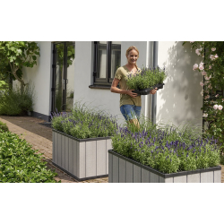 Blomsterkasse (Sequoia)