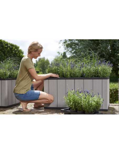 Blomsterkasse (Sequoia)