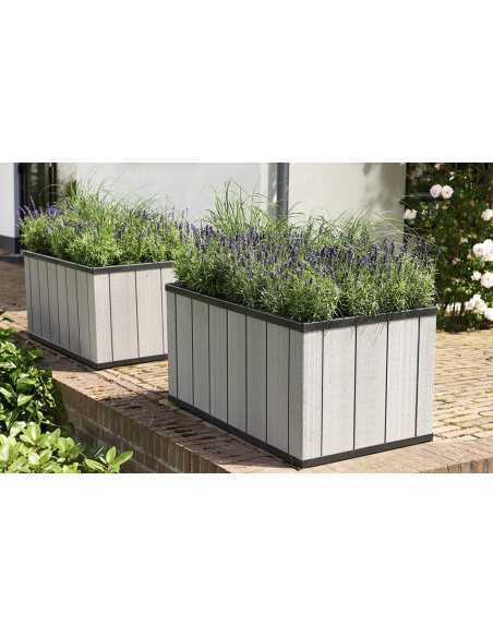 Blomsterkasse (Sequoia)